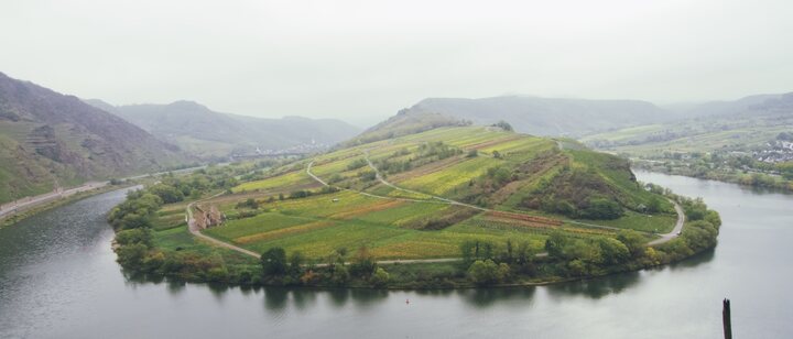 The Moselle river curving in a tight loop around a hill of autumn vineyards, with the ruins of a convent near the bank, under a grey, misty sky.