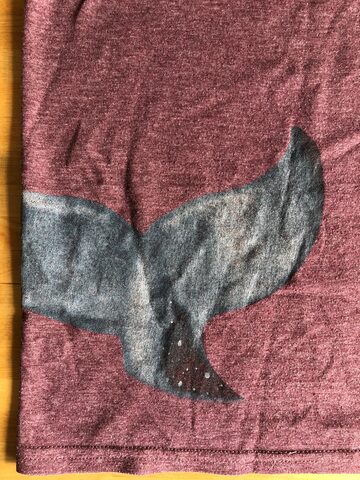 WHY? concert shirt, back