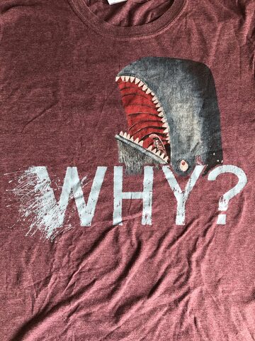 WHY? concert shirt, front