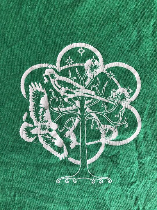 The Appleseed Cast shirt